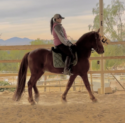 HorseID: 2284857 Whiskey - PhotoID: 1061014