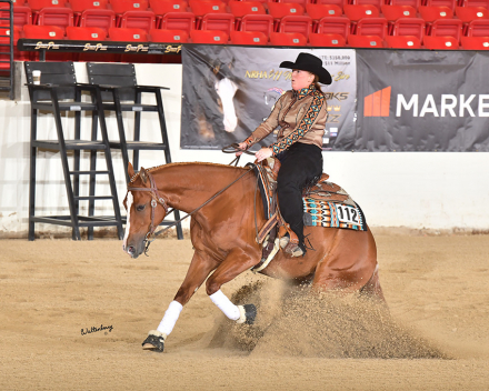 HorseID: 2287439 Voodoo it again - PhotoID: 1064621