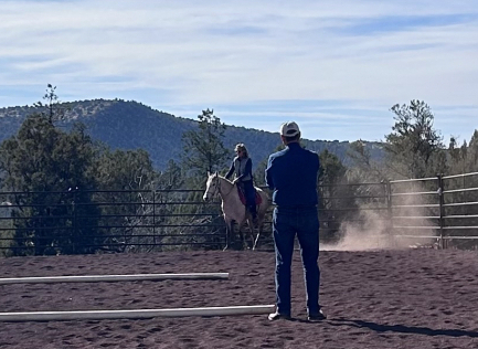 HorseID: 2291415 Paloma da Summerwind - PhotoID: 1095081