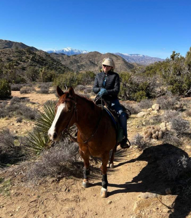 HorseID: 2291624 Scarlett O Boondecat - PhotoID: 1070114