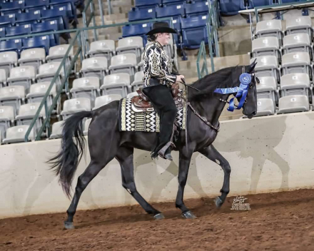 HorseID: 2299405 Zallie - PhotoID: 1094413