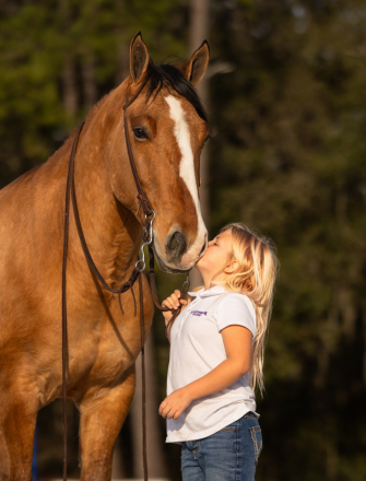 HorseID: 2301482 Crown Royal - PhotoID: 1083533