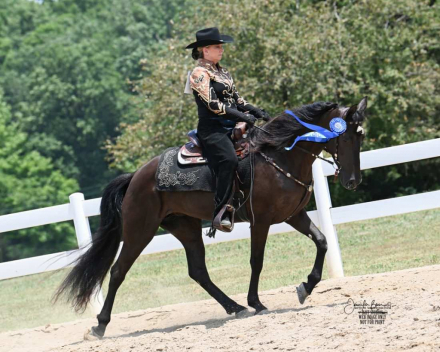 HorseID: 2303812 Roses All Around - PhotoID: 1086572