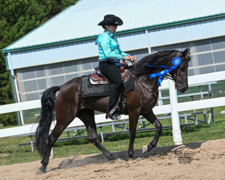 HorseID: 2303812 Roses All Around - PhotoID: 1094439