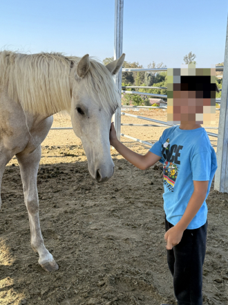 HorseID: 2304532 Zorro - PhotoID: 1094385