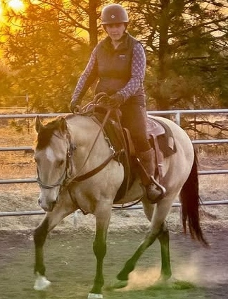 HorseID: 2304540 Shutlers flats - PhotoID: 1087522