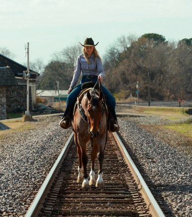 HorseID: 2305572 Ferrari - PhotoID: 1089055