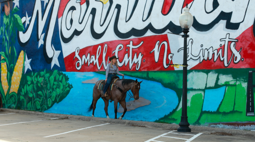 HorseID: 2305572 Ferrari - PhotoID: 1089056