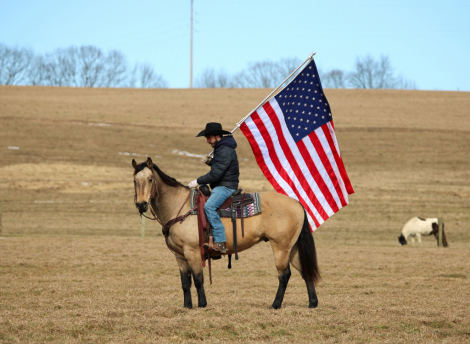 HorseID: 2305574 Chance - PhotoID: 1089059