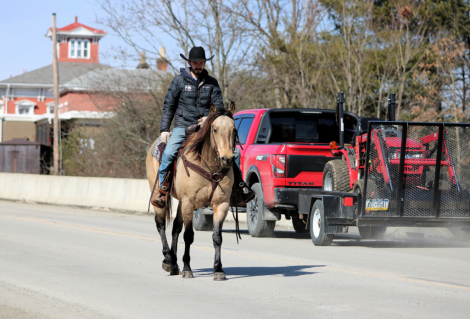 HorseID: 2305574 Chance - PhotoID: 1089060