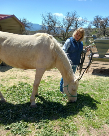 HorseID: 2306097 ButterCream - PhotoID: 1094924