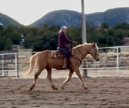 HorseID: 2306825 Journey - PhotoID: 1090588