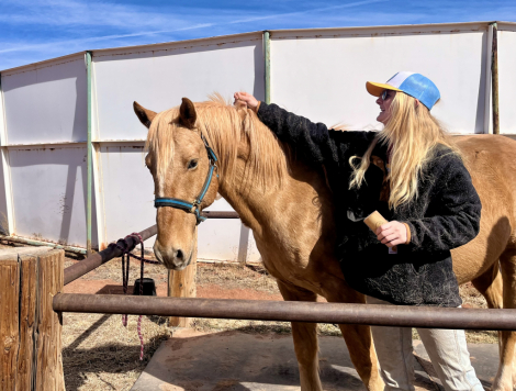 HorseID: 2306825 Journey - PhotoID: 1090591