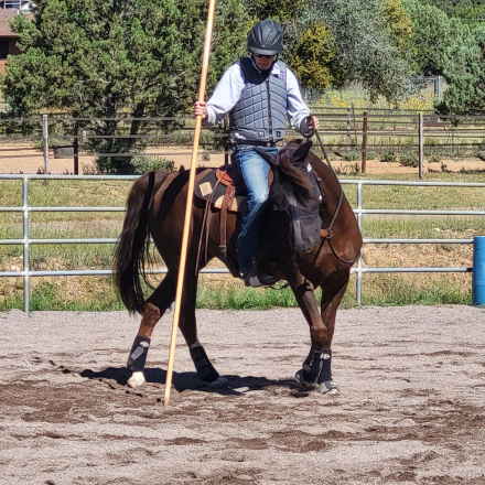 HorseID: 2306906 JAF Calico Treasure - PhotoID: 1091283