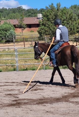 HorseID: 2306906 JAF Calico Treasure - PhotoID: 1091284