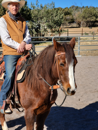 HorseID: 2306906 JAF Calico Treasure - PhotoID: 1091285