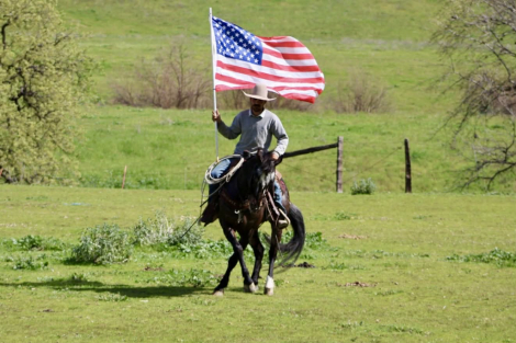 HorseID: 2306932 52 PICKUP - PhotoID: 1090733