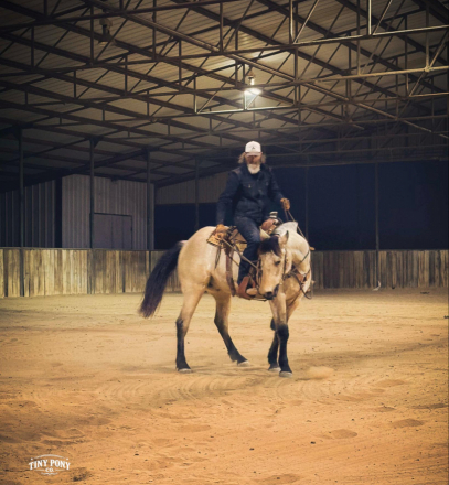 HorseID: 2306937 STORY - PhotoID: 1090749