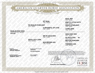 HorseID: 2306939 DUALIN DOC DOC - PhotoID: 1090744