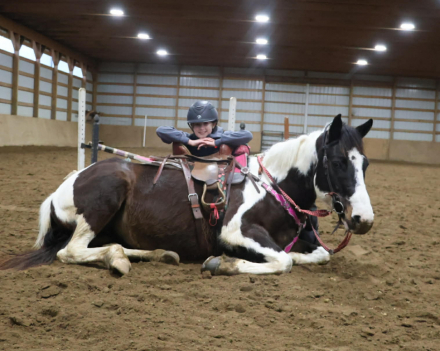 HorseID: 2307151 SUNSHINS SHASTAS DAISY - PhotoID: 1091060