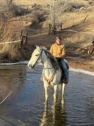 HorseID: 2307156 CHALUPA - PhotoID: 1091071