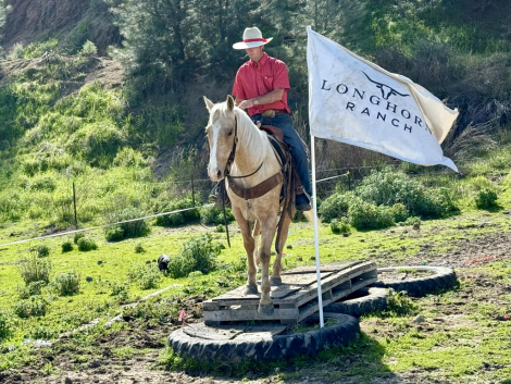 HorseID: 2307160 APEX - PhotoID: 1091064