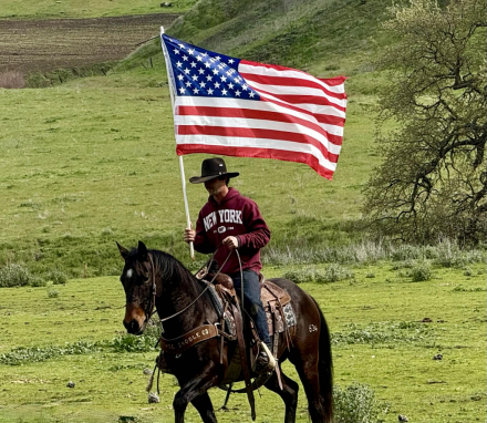 HorseID: 2307274 LUCKY - PhotoID: 1091371