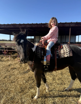 HorseID: 2307592 BATMAN - PhotoID: 1091542