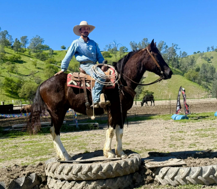 HorseID: 2307860 MATER - PhotoID: 1091925