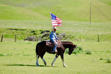 HorseID: 2307860 MATER - PhotoID: 1091926