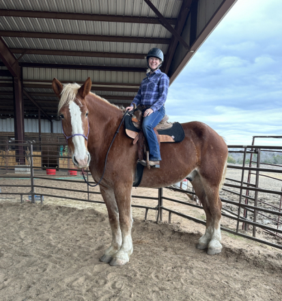 HorseID: 2307987 Clegane - PhotoID: 1092034