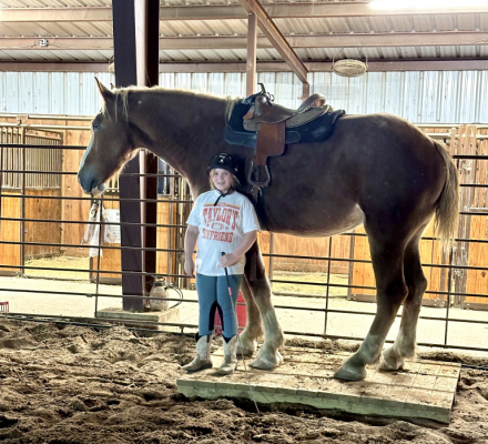 HorseID: 2307987 Clegane - PhotoID: 1094609