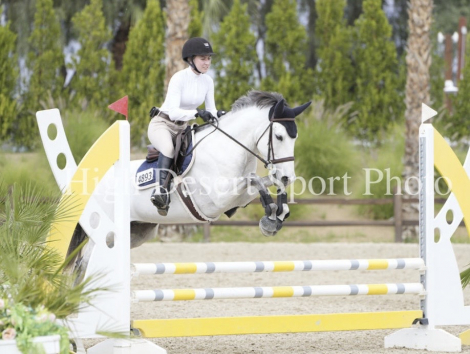 HorseID: 2308053 Dallas Cowboy - PhotoID: 1092114