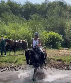 HorseID: 2308065 Cat On The Rum - PhotoID: 1092134