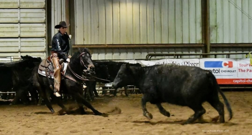 HorseID: 2308065 Cat On The Rum - PhotoID: 1092131