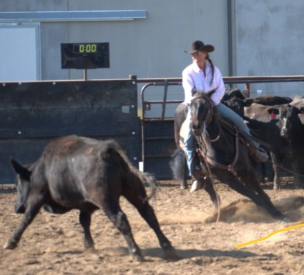 HorseID: 2308065 Cat On The Rum - PhotoID: 1092132