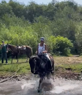 HorseID: 2308065 Cat On The Rum - PhotoID: 1092134