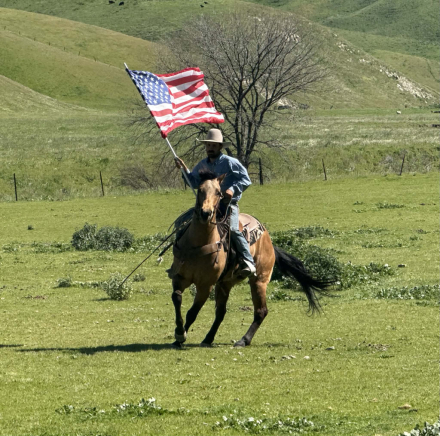 HorseID: 2308124 AJ - PhotoID: 1092221