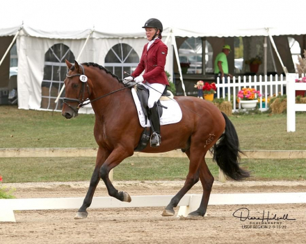 HorseID: 2308713 Cuatron HGF - PhotoID: 1094442