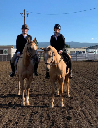 HorseID: 2308974 BLM Barbie - PhotoID: 1094598