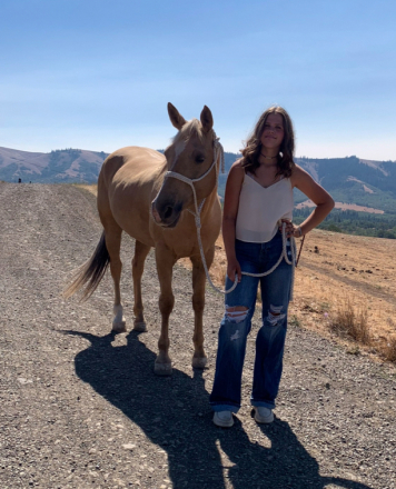 HorseID: 2308974 BLM Barbie - PhotoID: 1094600