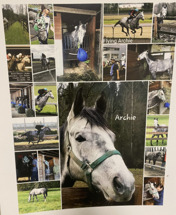 HorseID: 2309113 Archie Graham - PhotoID: 1094329