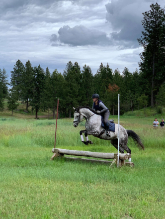 HorseID: 2309113 Archie Graham - PhotoID: 1094330