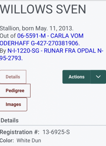 HorseID: 2309422 Willows Sven - PhotoID: 1093813