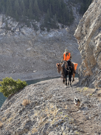 HorseID: 2309623 O Bar Rock My Chic - PhotoID: 1094109