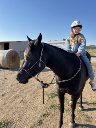 HorseID: 2309623 O Bar Rock My Chic - PhotoID: 1094110