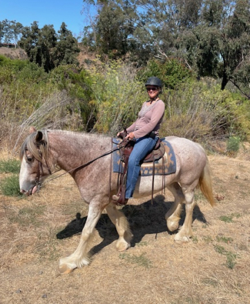 HorseID: 2309624 Somewhere Forever Fanny - PhotoID: 1094113