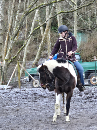 HorseID: 2309666 Promise's Lucky Rose - PhotoID: 1094163