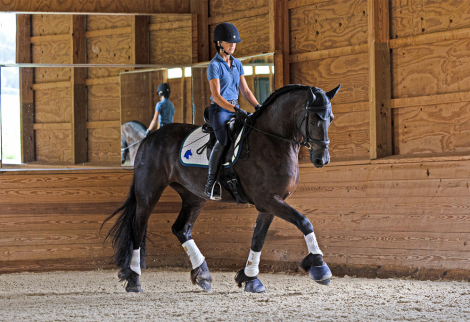 HorseID: 2309672 Renata ISF - PhotoID: 1094174