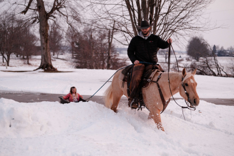 HorseID: 2309696 First Chance Dreamer - PhotoID: 1094209